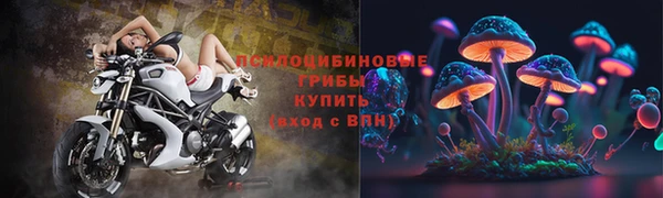 мяу мяу мука Алзамай