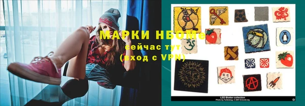 индика Алексин