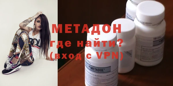 индика Алексин