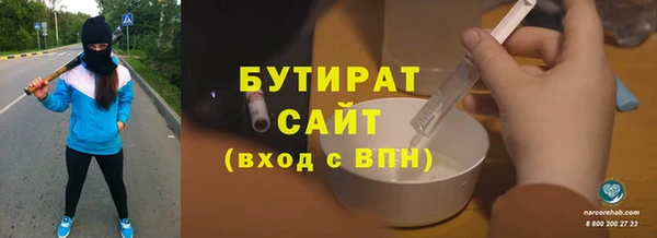 индика Алексин