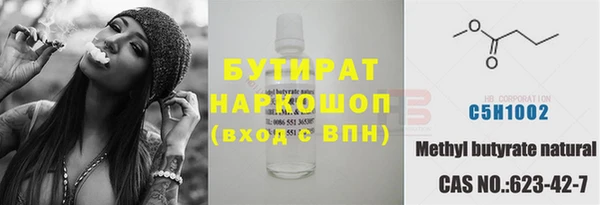 индика Алексин