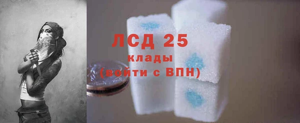 индика Алексин