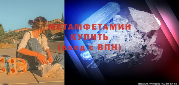 индика Алексин