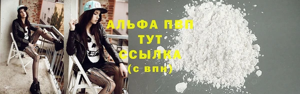 индика Алексин